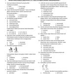 Soal Pas Pjok Kelas 4 Sem 1 PDF