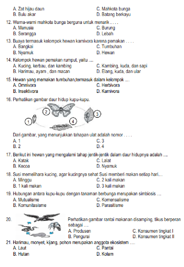 Soal Ujian Sekolah Ipa Kelas 9 Dan Kunci Jawaban - Piffle me