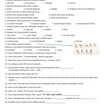 Penjas Kelas 6 Bab 1 Soal PDF