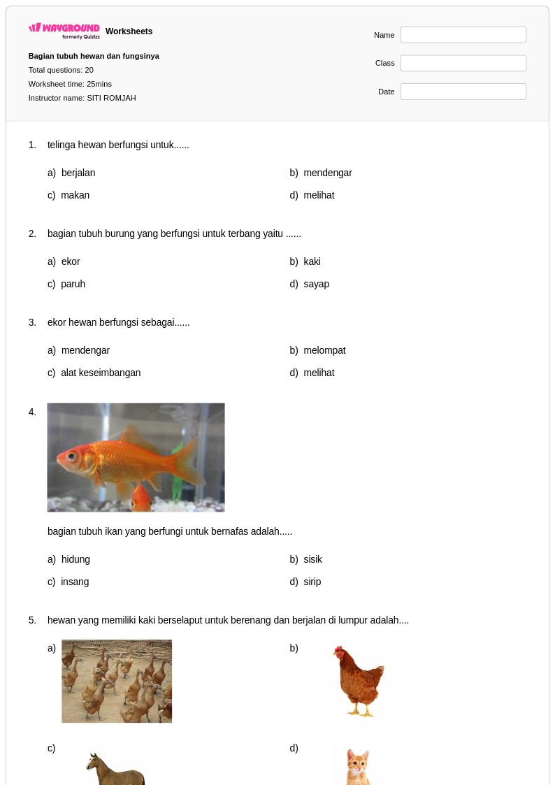 50 lembar kerja Bagian-bagian Mata untuk Kelas 9 di Wayground Gratis 50 lembar kerja Bagian-bagian Mata untuk Kelas 9 di Wayground Gratis