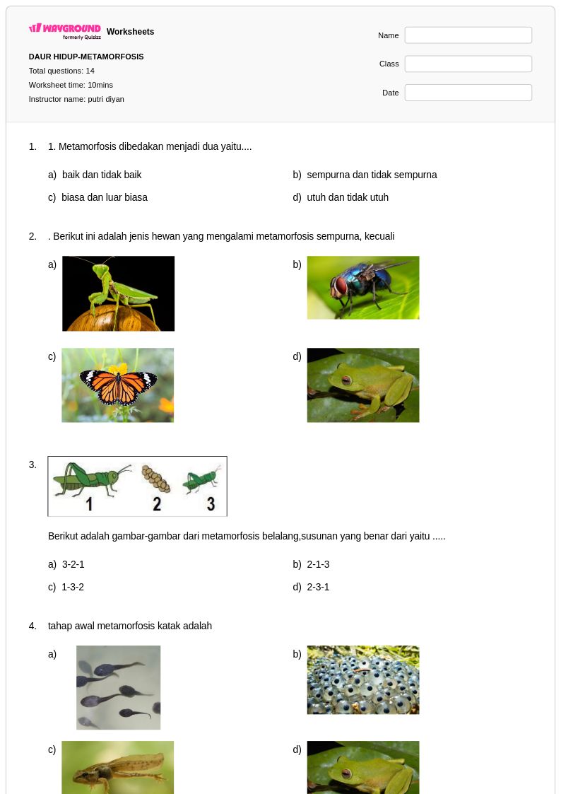 50 lembar kerja Siklus Hidup Katak untuk Kelas 5 di Wayground Gratis 50 lembar kerja Siklus Hidup Katak untuk Kelas 5 di Wayground Gratis