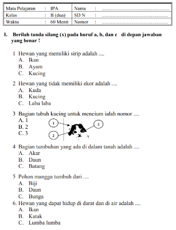 Terbukti! 7 Contoh Soal Sains Kelas 2 SD yang Jelaskan Mengapa Daun Berwarna Hijau