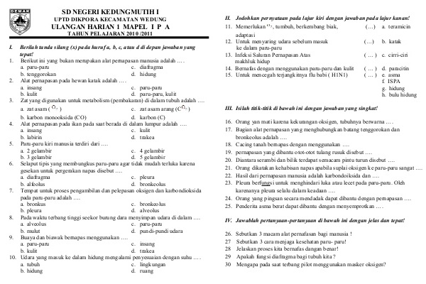Rahasia Sukses Ujian: Kumpulan Latihan Soal UTS PKN Kelas 5 Semester 1 Terbaru Rahasia Sukses Ujian: Kumpulan Latihan Soal UTS PKN Kelas 5 Semester 1 Terbaru